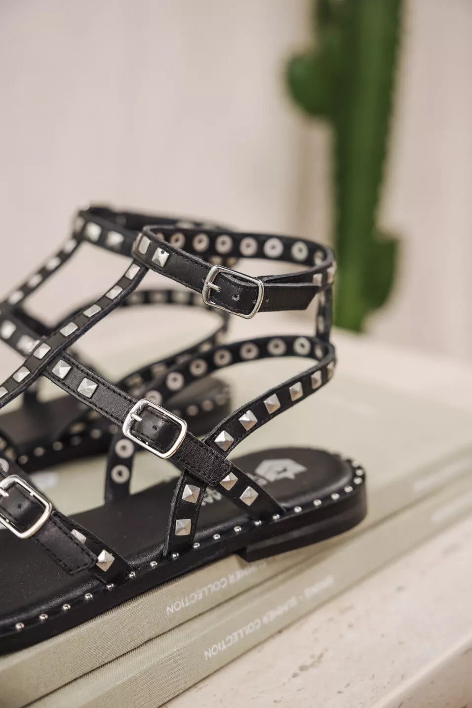 Sandales Cloutées Pruni black