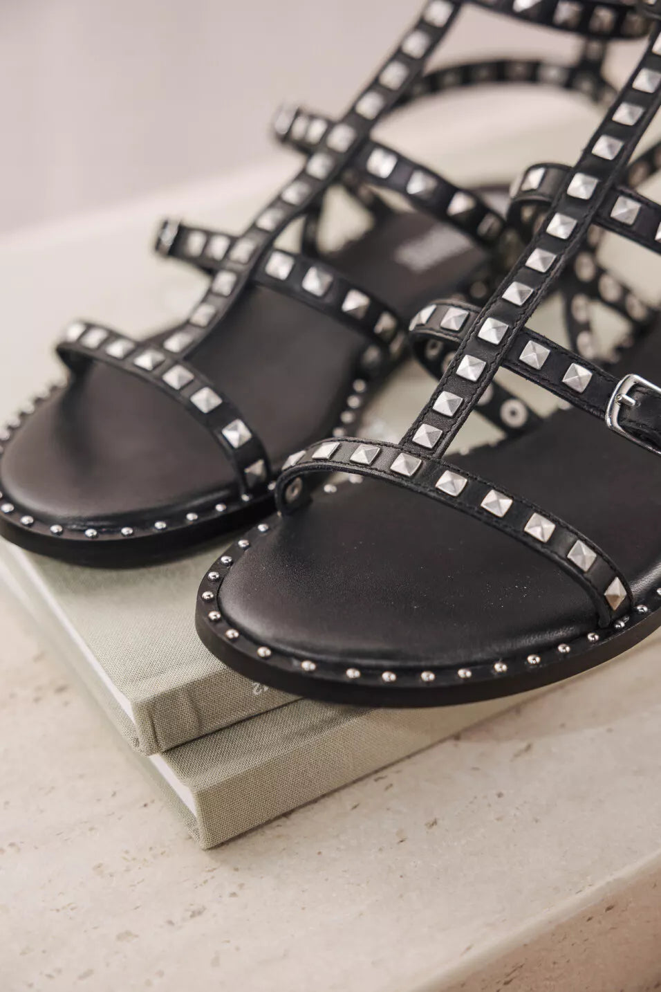 Sandales Cloutées Pruni black